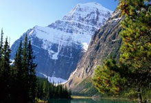 如何实现90分钟足球比分的免费调用？